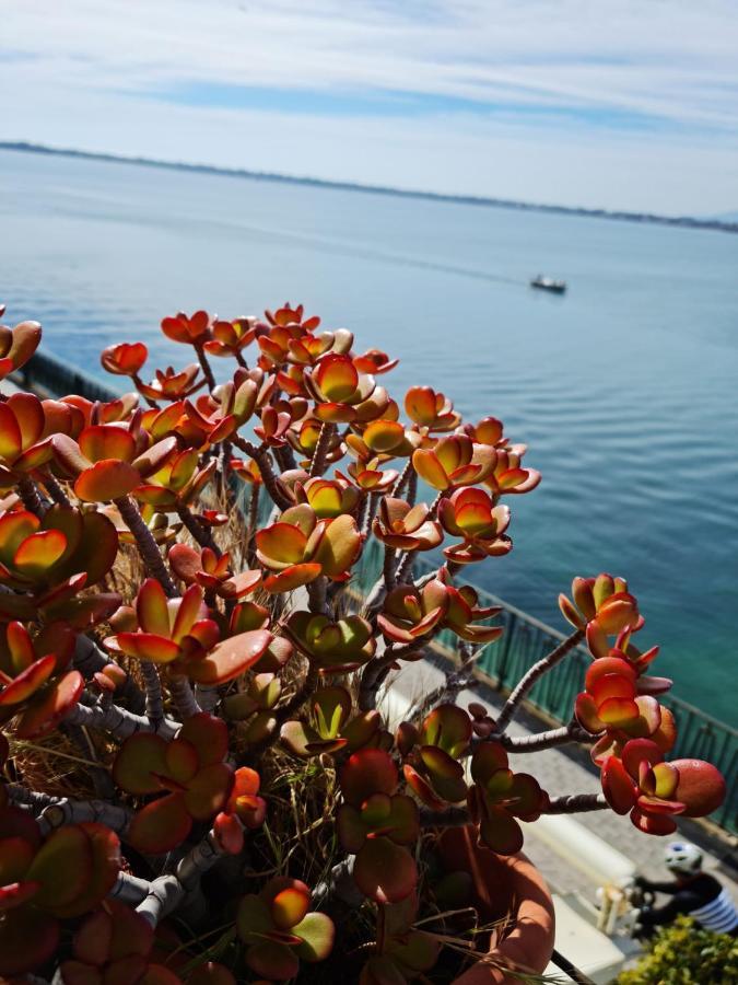 La Finestra Sul Mare Di Alfeo Daire Siraküza Dış mekan fotoğraf